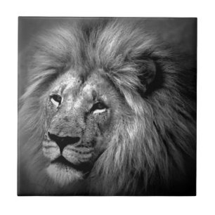 Carreau Lion noir et blanc
