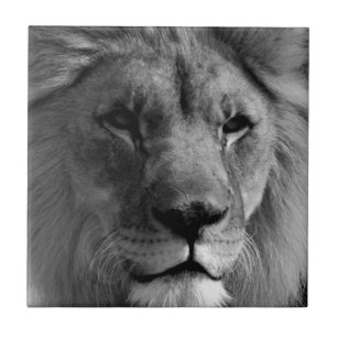 Carreau Lion noir et blanc