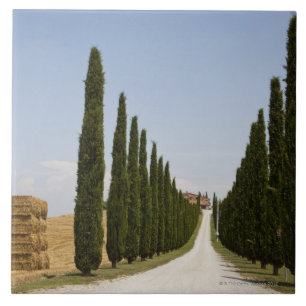 Carreau L'Italie. La Toscane. Val D'Orcia (vallée d'Orcia