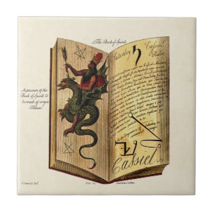 Carreau Livre de tuile de spiritueux