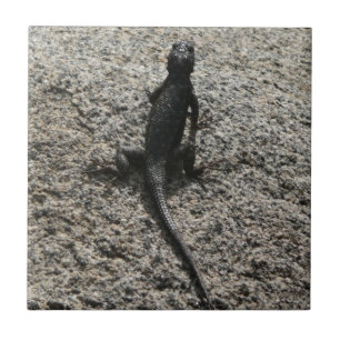 Carreau Lizard noir