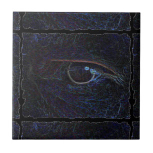 Carreau L'oeil