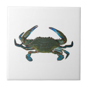 Carreau Logo atlantique de crabe bleu