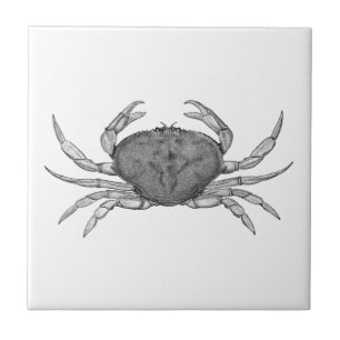 Carreau Logo de crabe de Dungeness (schéma)