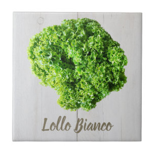 Carreau Lollo Bianco Salade feuilles de laitue pour Vegas