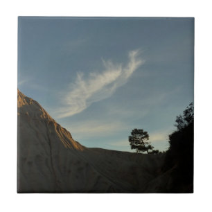 Carreau Lone Torrey Pine Californie Sunset Paysage