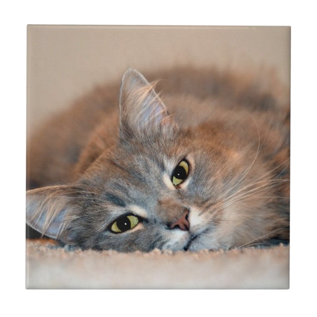 Carreau Long chapeau bleu russe par Shirley Taylor (Devant)