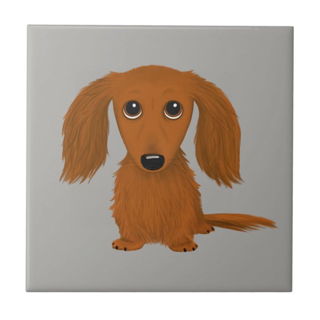 Carreau Long Haired Dachshund | Doxie mignon chien de dess (Devant)