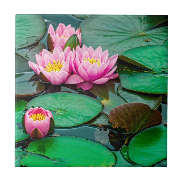Carreau Lotus rosé de fleurs (Devant)