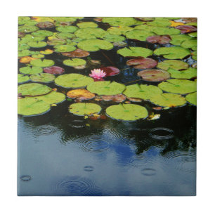 Carreau Lotus rose en pluie