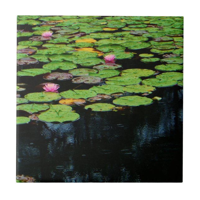 Carreau lotus rose noir (Devant)