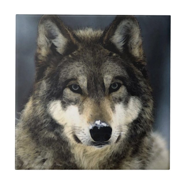 Carreau Loup (Devant)