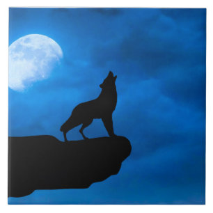 Carreau Loup la nuit