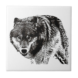 Carreau Loup sauvage