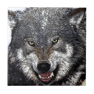 Carreau Loup sauvage