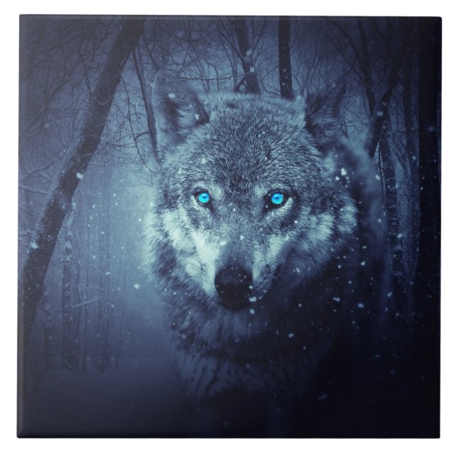 Carreau Loup sauvage magique aux yeux bleus Extraordinaire (Devant)