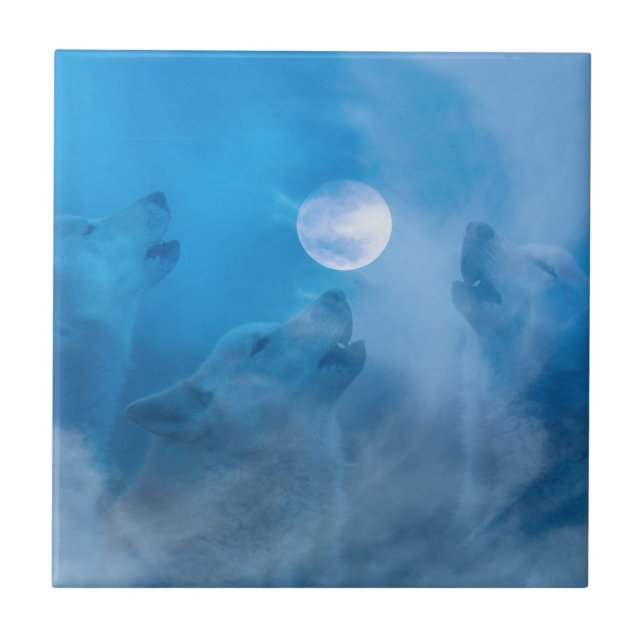 Carreau Loups et cadeaux amérindiens de lune (Devant)