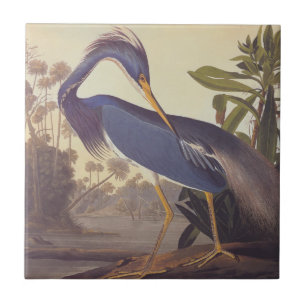 Carreau Lousiana Heron en gris, vert et bleu par Audubon