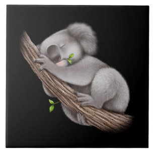 Carreau Love Koala Bears Classic