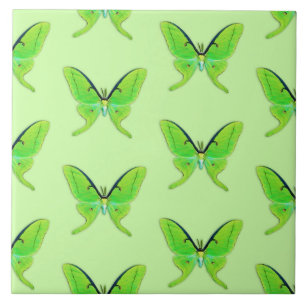Carreau Luna moth sur un arrière - plan vert pâle