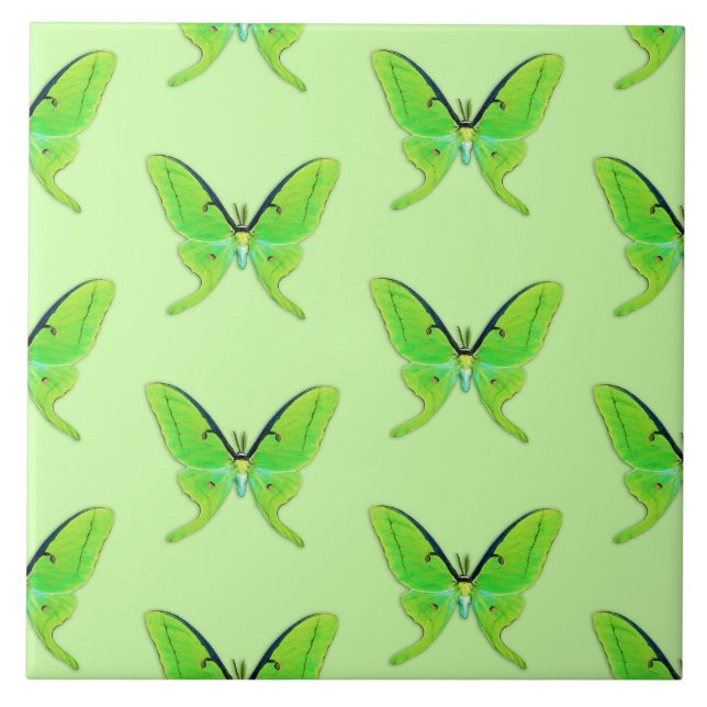 Carreau Luna moth sur un arrière - plan vert pâle (Devant)
