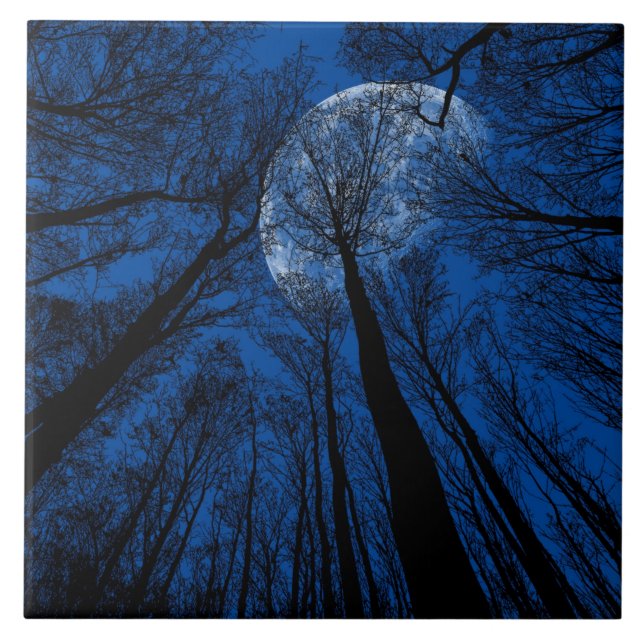 Carreau Lune dans le ciel nocturne (Devant)