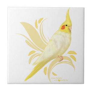 Carreau Lutino Cockatiel