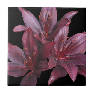 Carreau Lys d'Asie rouge foncé sur floral noir