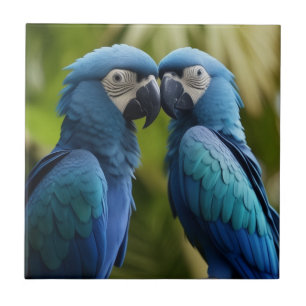 Carreau Macaw bleu