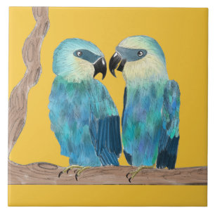 Carreau Macaws de Spix sur un carrelage en céramique - (Y)