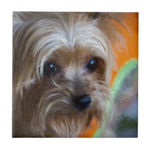 Carreau Madame Yorkshire Terrier