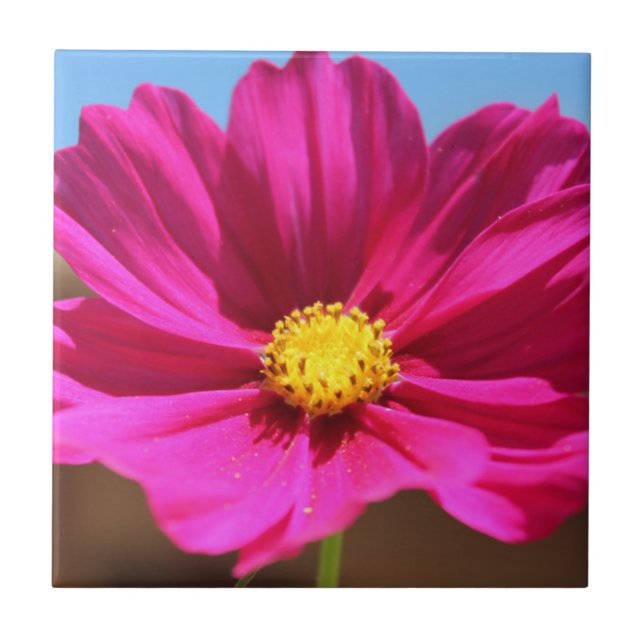 Carreau Magenta Flower (Devant)