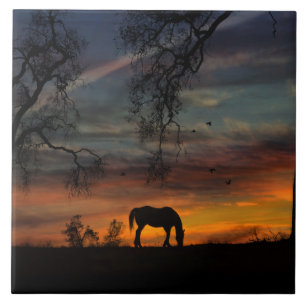 Carreau Magnifique Carrelage d'art Cheval Sud-Ouest