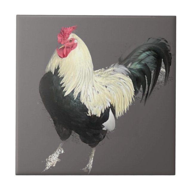Carreau Magnifique Cockerel No 1 (Devant)