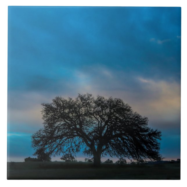 Carreau Magnifique photo d'arbre de chêne (Devant)