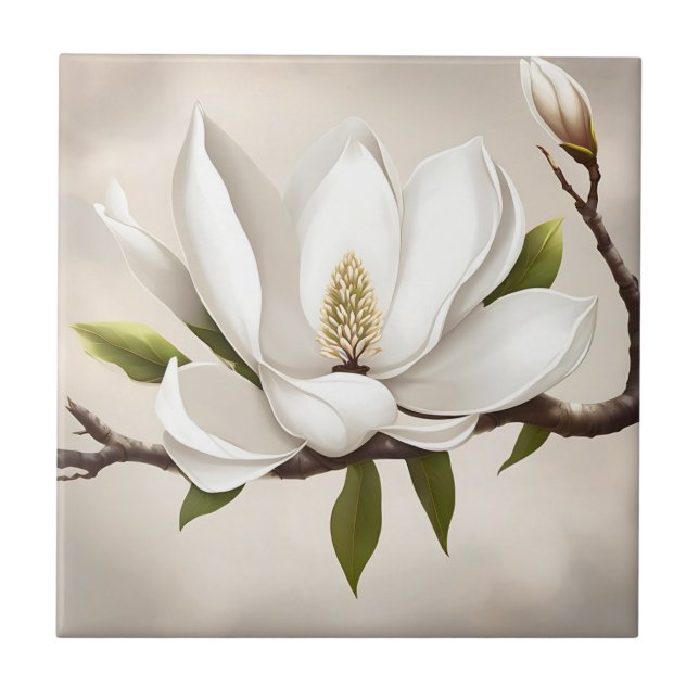Carreau Magnolia blanc botanique (Devant)