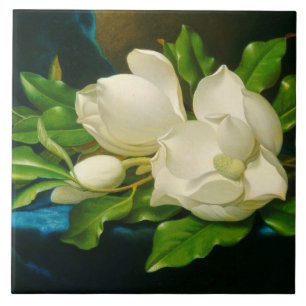 Carreau Magnolias géant sur un tissu de velours bleu (tête