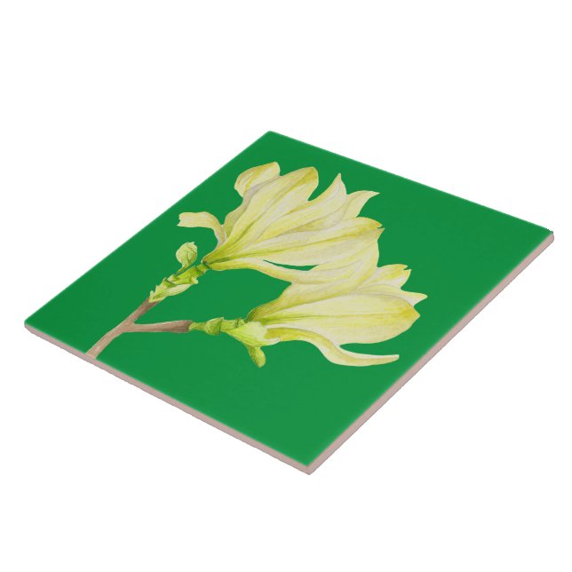Carreau Magnolias Jaunes sur Carrelage en céramique (1G) (Côté)