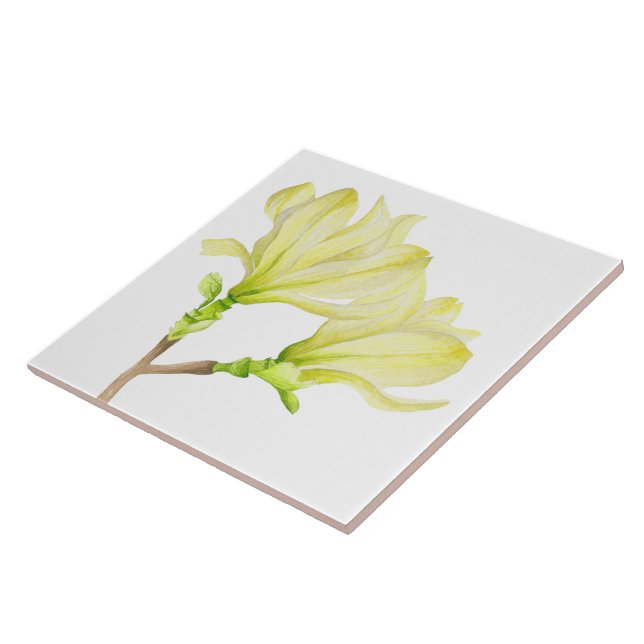 Carreau Magnolias jaunes sur Carrelage en céramique (1W) (Côté)