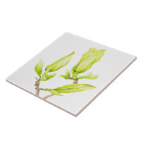 Magnolias Jaunes sur Carrelage en céramique (2W)