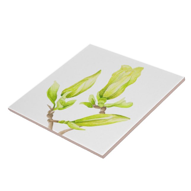 Carreau Magnolias Jaunes sur Carrelage en céramique (2W) (Côté)