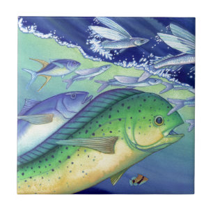 Carreau Mahi Mahi (poisson de dauphin) chassant des
