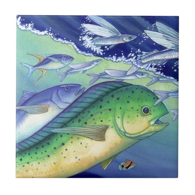 Carreau Mahi Mahi (poisson de dauphin) chassant des (Devant)