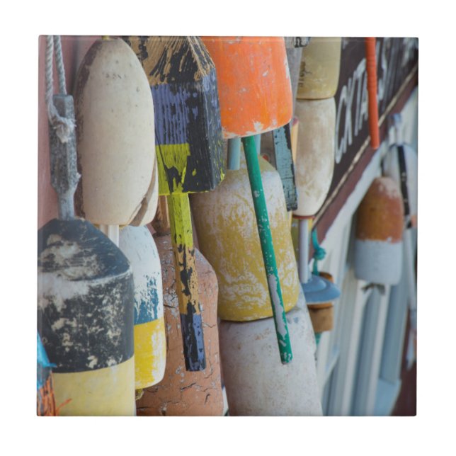 Carreau Maine, Bar Harbour. Bouées colorées de trappes à h (Devant)