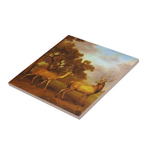 Carreau Mâle de cerfs communs rouges de George Stubbs- et