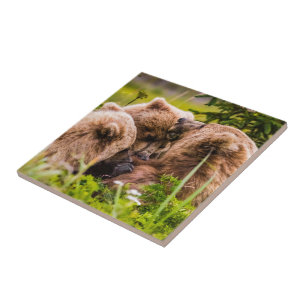 Carreau Mama bear nourrit ses deux petits, Lake Clark Nati