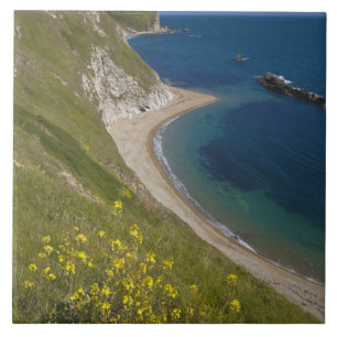 Carreau Man o War Bay, Jurassic Coast, Lulworth, Dorset,