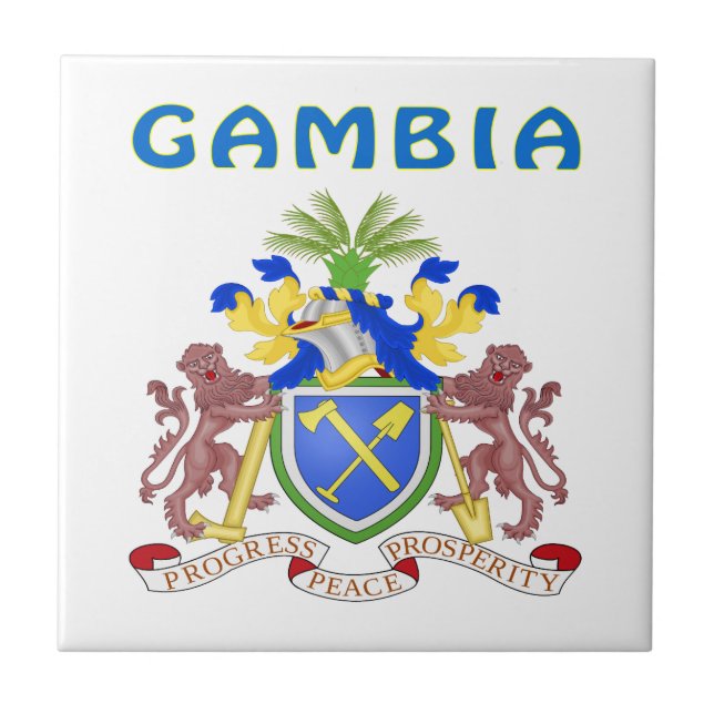 Carreau Manteau de la Gambie des bras (Devant)
