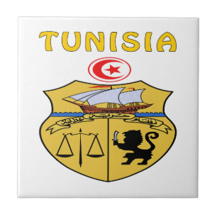 Carreau Manteau de la Tunisie des bras
