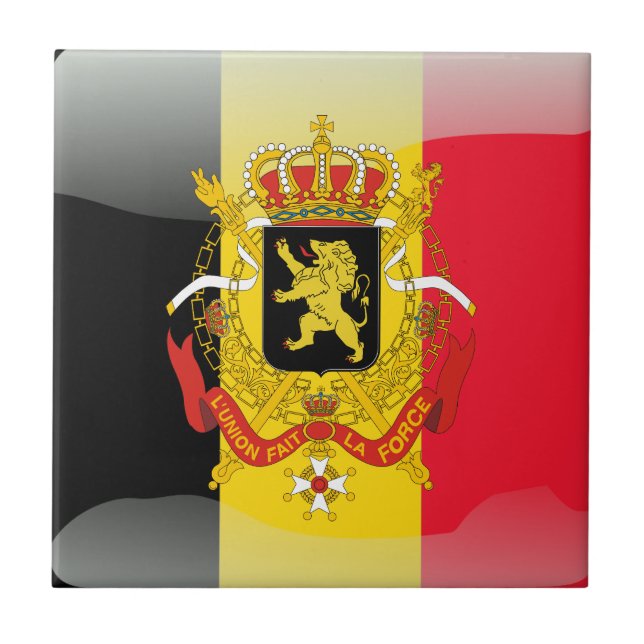 Carreau Manteau des bras belge (Devant)